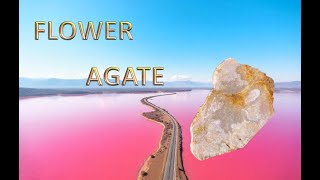 The Crystal Echoes -  Flower Agate