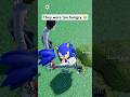 SONIC and SHAGGY GOT HUNGRY 😭🍽️ #roblox #funny