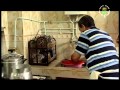 Tamazight tv4  21082011 dda chabane