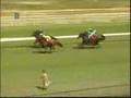 Off-Track Betting: Self-Serve Terminal - YouTube