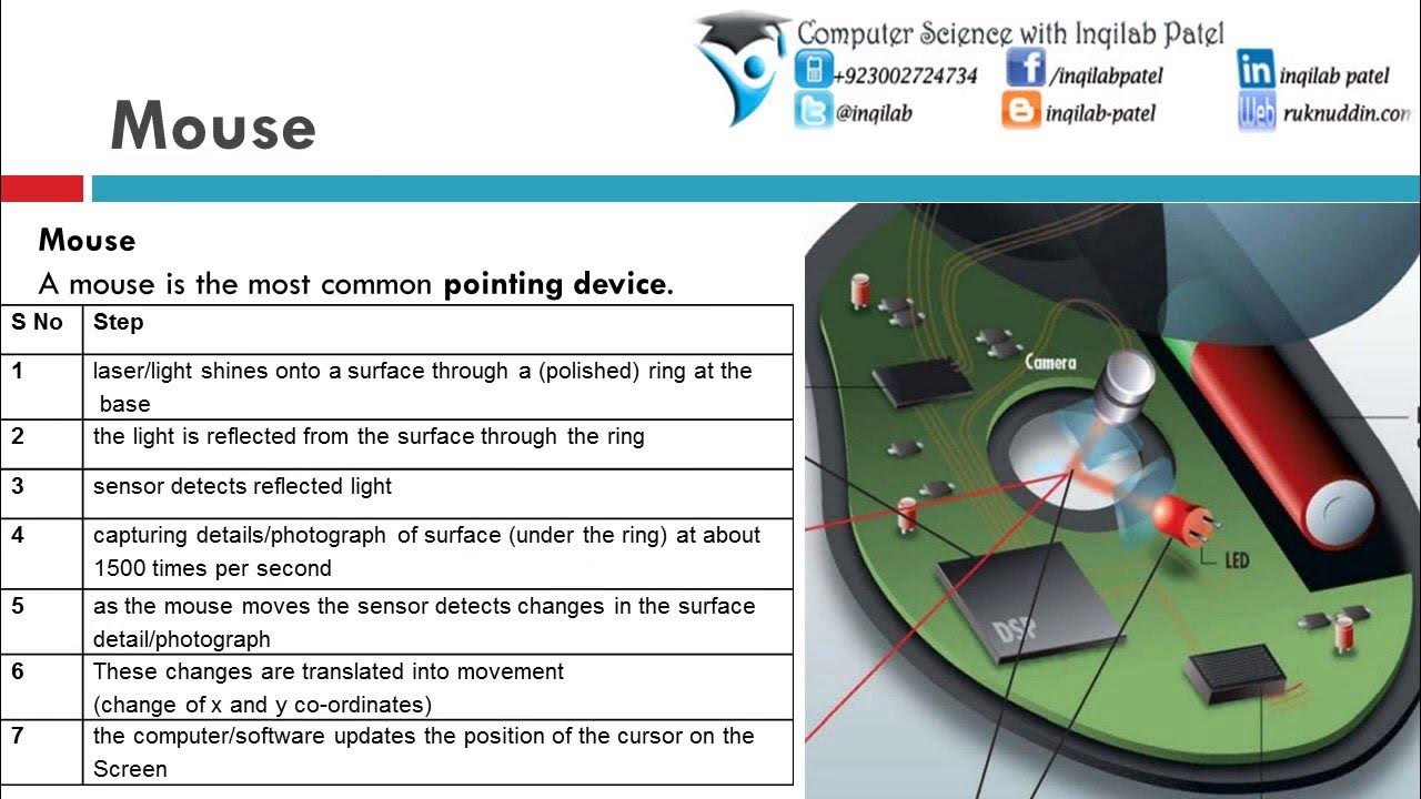 Input Devices for O Level & IGCSE Computer Science by Inqilab Patel