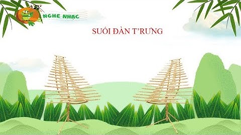 NGHE NHẠC SUỐI ĐÀN T