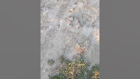 اواخر سورة ابراهيم