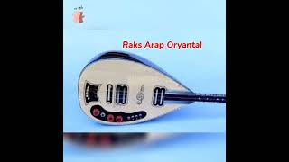 Raks Arap Oryantal Enstrümantal Süper Pop Elektro Bağlama Oyun Havaları