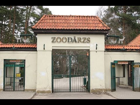 Video: Maiami zooloģiskais dārzs