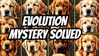 Golden Retriever Evolution Uncovered