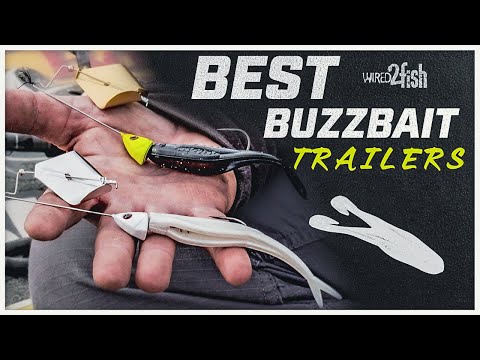 3 Proven Buzzbait Trailers for Bass Fishing Success 