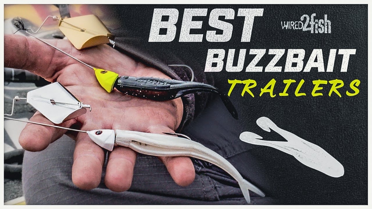 Buzz Bait Fishing: Modifications To Up Your Buzz Bait Catches