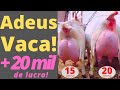 Ganhe DINHEIRO com CABRA LEITEIRA. Lucro + 20 mil com 8 cabras.