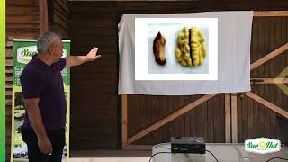 Charla "Cosecha de Nogal y Parámetros de Calidad"