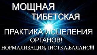 ПОДАРОК! МОЩНАЯ ТИБЕСТКАЯ ПРАКТИКА ИСЦЕЛЕНИЯ ,ЧИСТКА ОРГАНОВ, Эра водолея квантовый переход