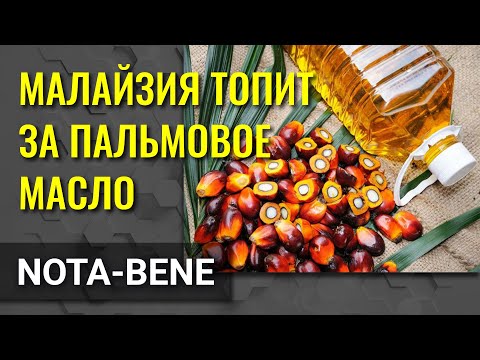Малайзия считает, что пальмовое масло - это подарок богов