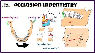 Occlusion in dentistry | Balanced occlusion@mentaldental @DentaltownMagazine @DentalDigest