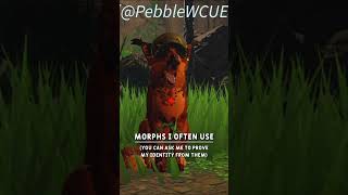 How to know if youve met the real Pebble! | Warrior Cats; Ultimate Edition
