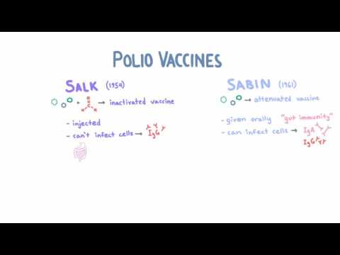 Videó: Különbség A Salk és A Sabin Polio Vakcina Között