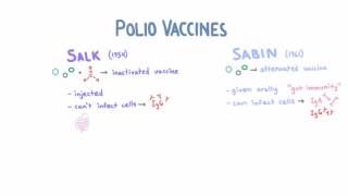 Polio Vaccines - Salk vs Sabin