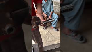 From Wire to Strong Spring Hook 🔥 Handmade Hard Work