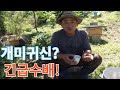 개미귀신? 긴급수배!