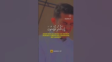 سورة النور الاية من2الى3🍃            #تلاوة_خاشعة #قران_كريم #قرآن #شاشه_سوداء #سورة_النور #تلاوات