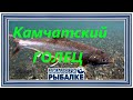 Диалоги о рыбалке - 081 / Камчатка. Голец