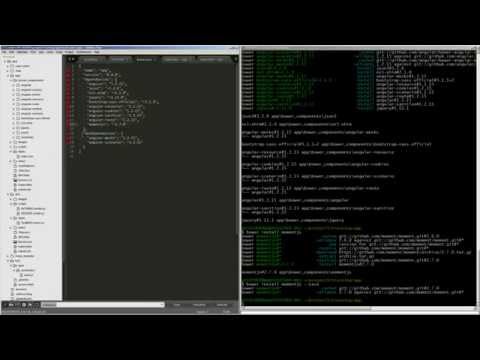 Bower - Angular Build 5