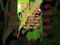 mo monoro kotha 😭💔😭#radheradhe #hilight #krishnastatus #status #rajatpuja #sad #143 @rasmita100k