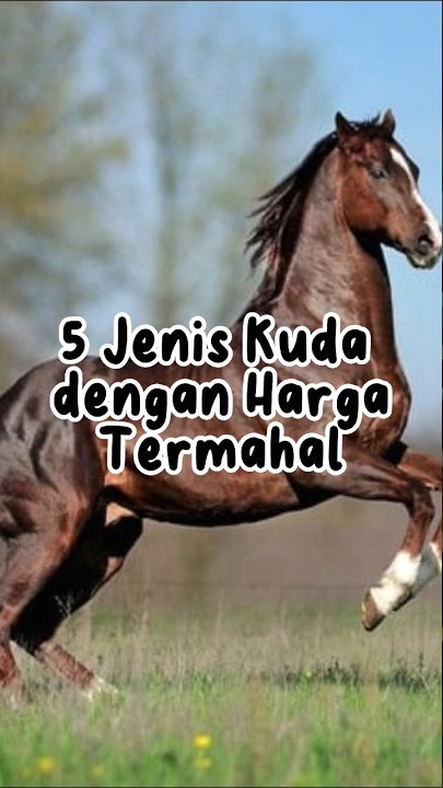 5 Jenis Kuda dengan Harga Termahal #shorts