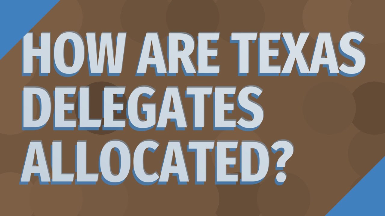 How are Texas delegates allocated? YouTube