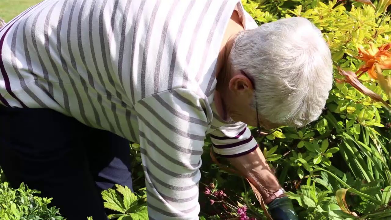 Brian & Gillian's Garden