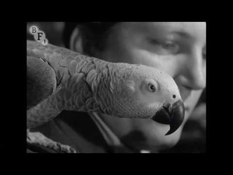 A Journal of the Outdoors No. 11 (1953) | BFI National Archive