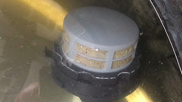 RF100IND-Q Backwash in Action