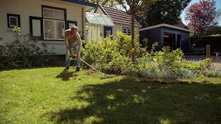 De Verticuteerhark Van Talen Tools Voor Een Mooi En Sterk Gazon