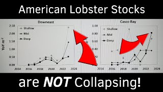 URGENT: Lobster Industry Faces Economic Peril From Gauge Increase