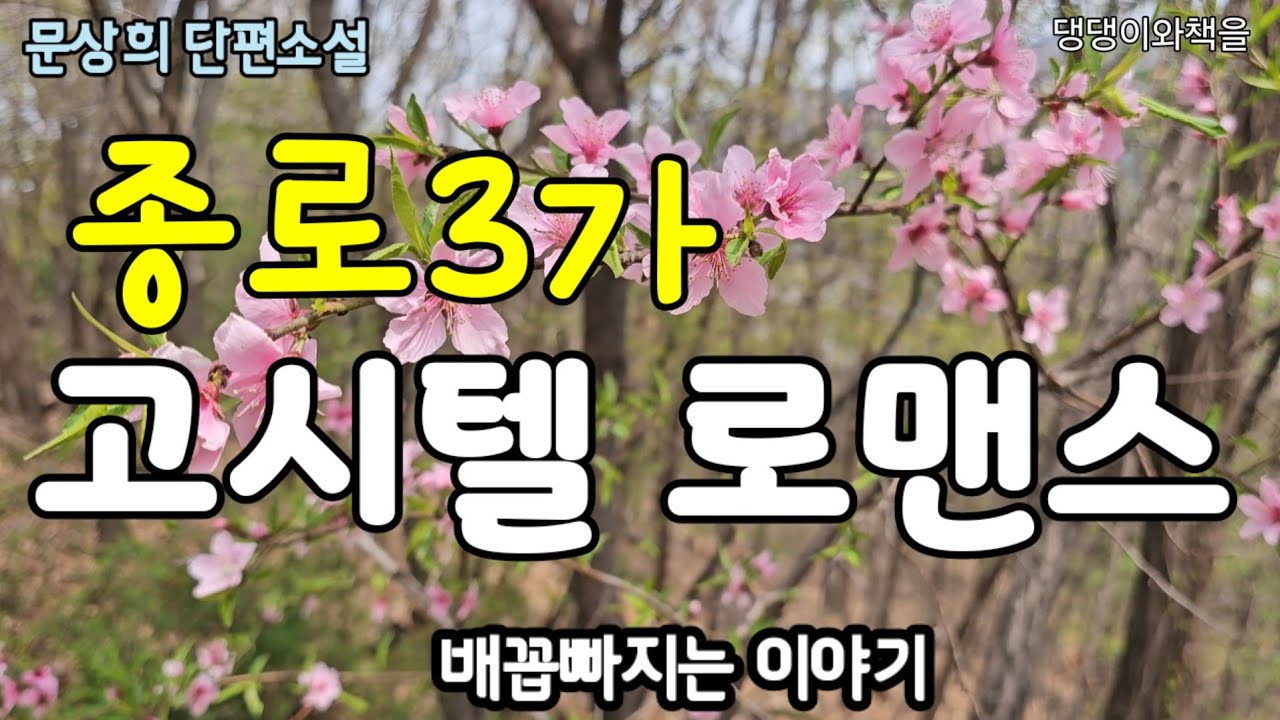 문상희/배꼽빠지는 이야기/종로3가 고시텔 로맨스/책읽어주는작가