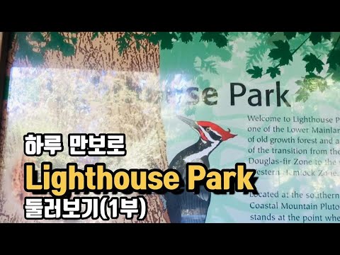 영상썸네일