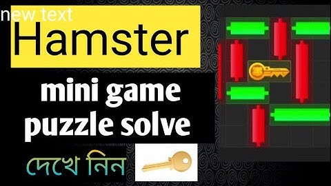 Hamster kombat mini game today 13 August | mini game hamster Kombat | daily combo | daily cipher cod