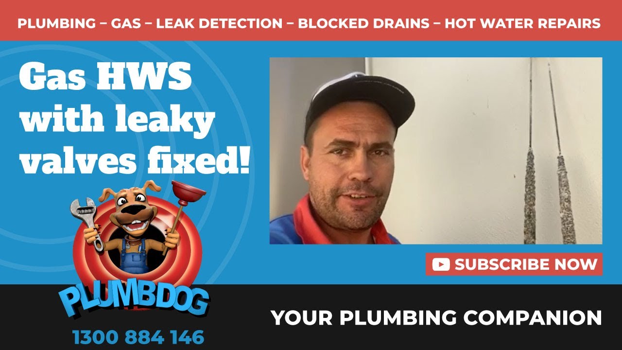 Leaking Expansion Valves Rheem Stellar Gas Storage Hot Water System Plumbdog Plumbing Perth
