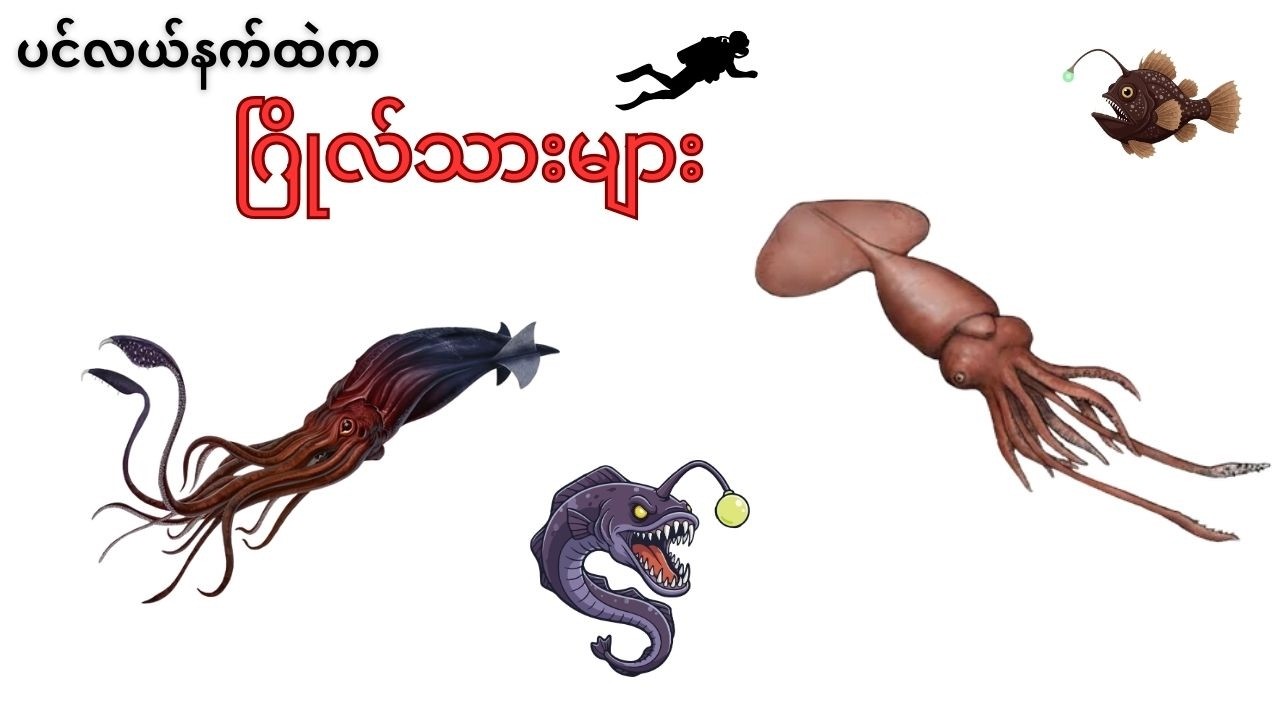 ပင်လယ်နက်ထဲကဂြိုလ်သားများ အပိုင်း (၁) - Aliens Of The Deep