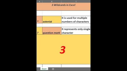 Wildcards in Excel #shorts #excel #tips 🤫😎