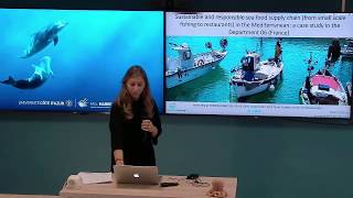 Immersion project - Marie - Sustainable and responsible sea food supply chain in the Mediterranean..