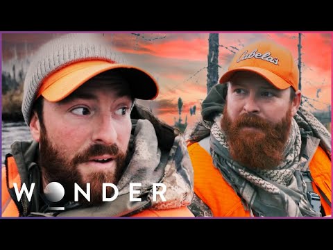 Brothers Surviving In The Wild Find Themselves In Moose Territory | Dropped documentary thumbnail