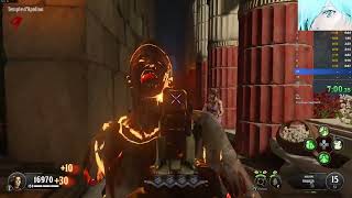 AE fr purist solo WR 37