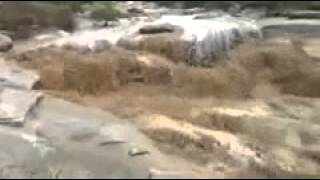 سيول وادي نيرا بتهامة الباحه الثلاثاء12-2-1434هـ