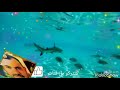 غناء حسين البصري انا صابر عله باجر 