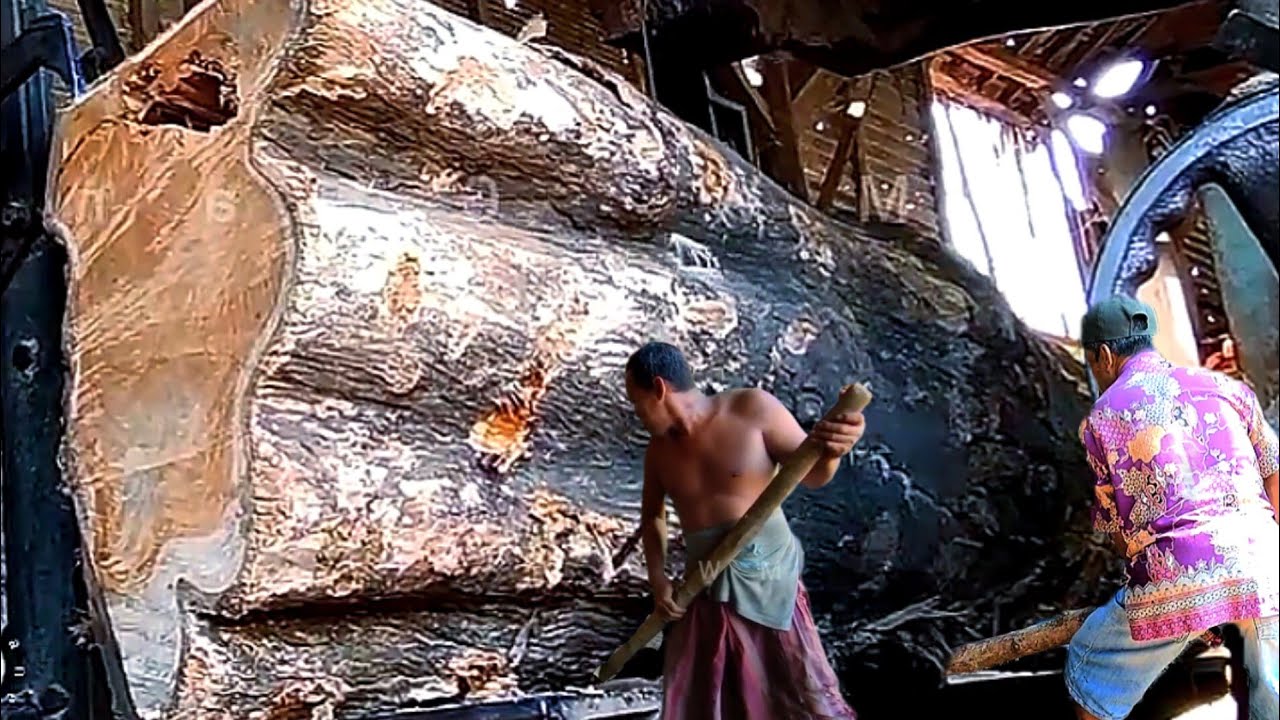 Strange Shape || Incredible Large Logs || Sawmill