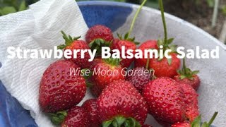 Strawberry Balsamic Salad