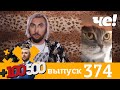 +100500 | Выпуск 374