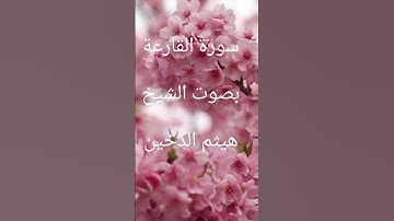 سورة القارعة بصوت الشيخ هيثم الدخين #قران_كريم #تلاوة_خاشعة #راحة_نفسية #متابعة_لايك #اكسبلور #ترند