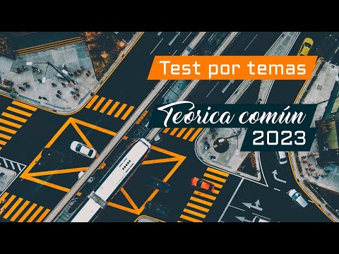 Test por temas