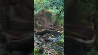 горчаковщинский водопад